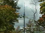 オスタンキノ・タワーの写真サムネイル